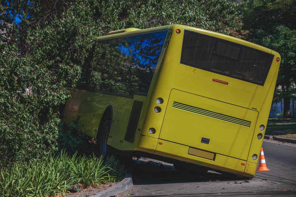 A yellow bus crashed into a tree on the roadside, partially off the pavement.